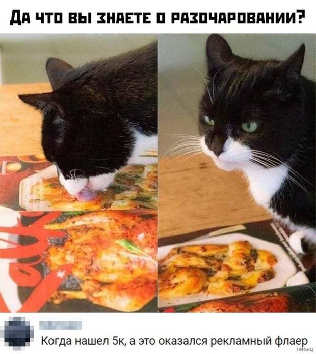 100% приколюхи, от которых болит живот