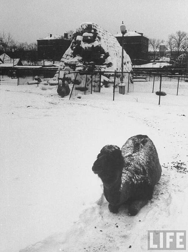 Какой была Москва в декабре 1959 года