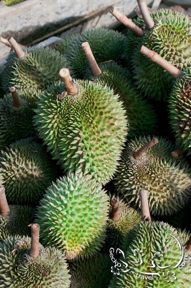 http://gecko-travel.com/wp-content/gallery/mekong-delta/vietnam-can-tho-durian-on-the-boat.jpg