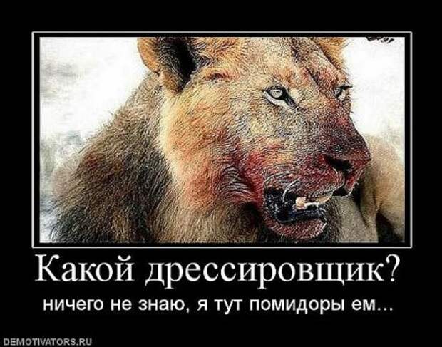 Смешные демотиваторы, веселые картинки с надписями!