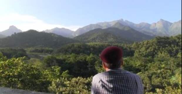 This Man Wants Your Help In Building a Bigger, Better Rain Forest For the Future