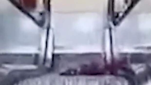 Ребенок застрял в эскалаторе в новосибирском торговом центре