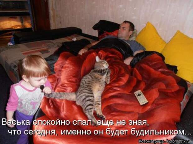 Котоматрицы (забавные картинки с надписями)