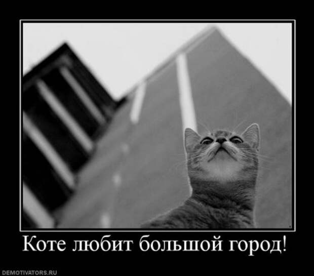 Демотиваторы, юмор и сатира, не смешных у нас не бывает.