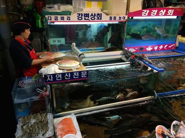 Норянджин: рыбный рынок Сеула с мировой известностью корея, рыба, сеул, фоторепортаж