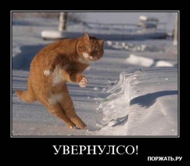 Демотиваторы ржачные прикольные, новый юмор.