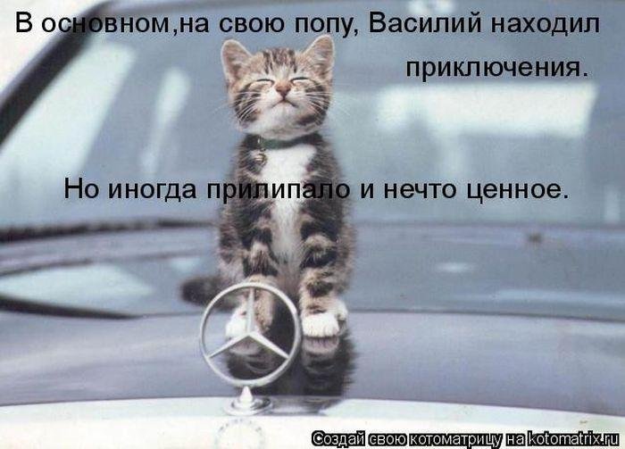 Прикольные котоматрицы Прикольные котоматрицы