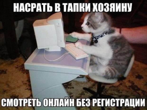 Фото приколы дома в тепле.