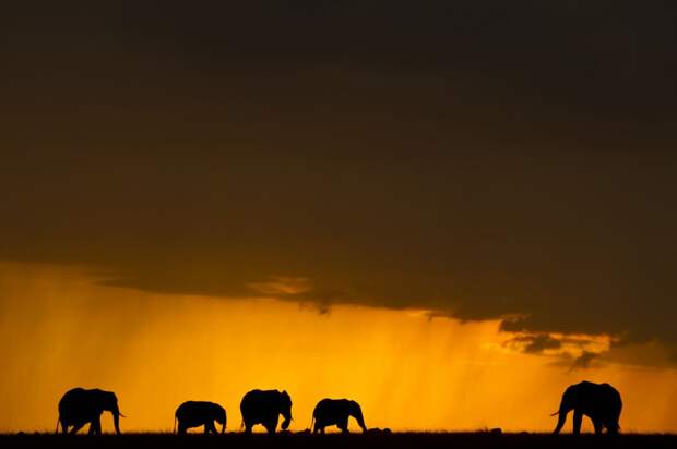 Феноменальные закаты и природа Кении