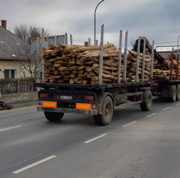 Подборка прикольных картинок