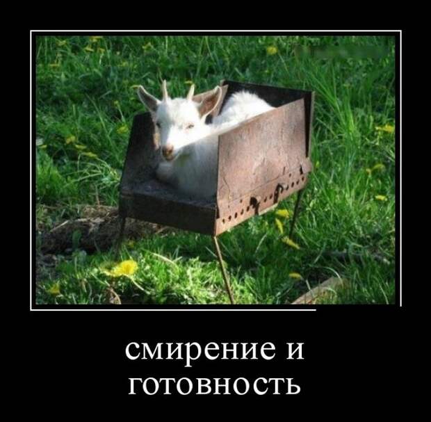 Демотиваторы (30 фото)