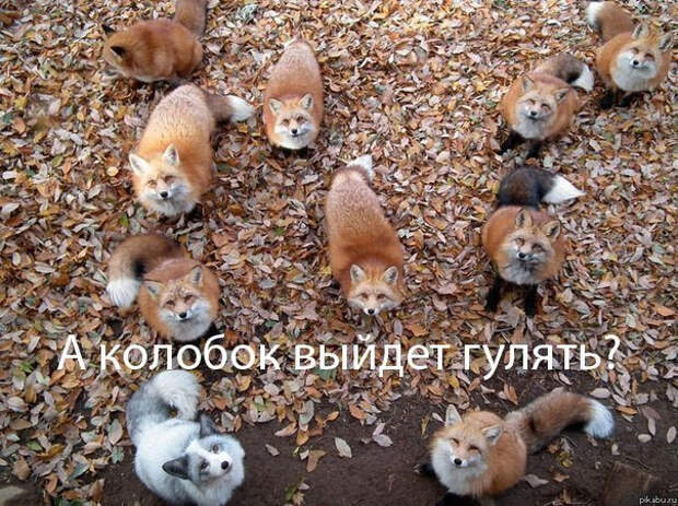 N7Z1QOwnqmM (604x452, 401Kb)