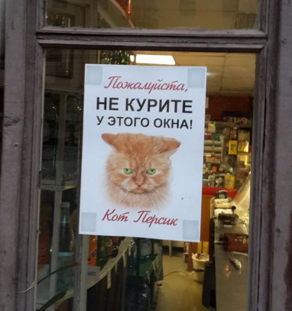 20 самых убедительных объявлений