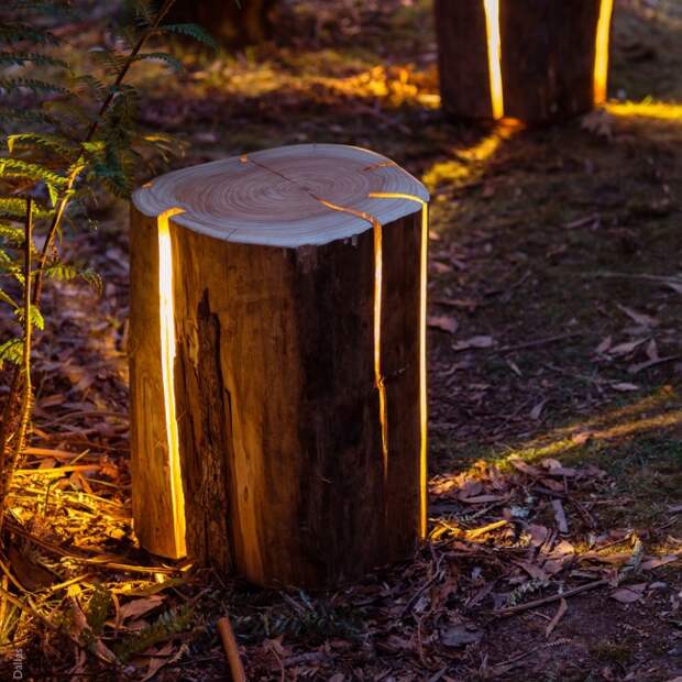 20205-R3L8T8D-650-log-1