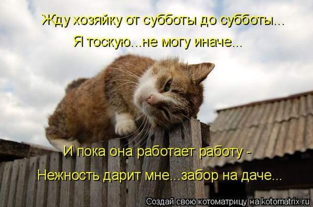 Мысли вслух :)