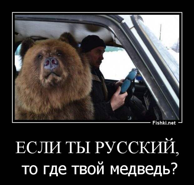 Демотиваторы демотиваторы