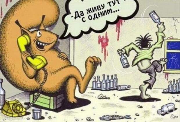 Белочки бывают разные..... - алкаши, карикатура, юмор