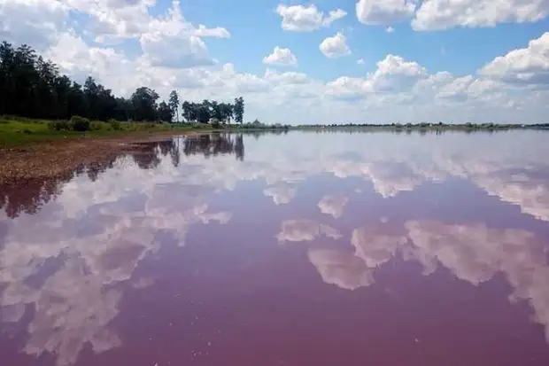 Малиновое озеро в Алтайском крае