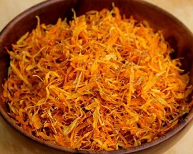 travi-ocisausie-legkie-kurilsika