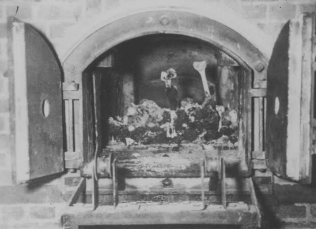 Ужасы Дахау - наука вне морали  дахау, история, освобождение