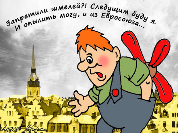 Шмелям из Европы для опыления российских овощей дали запрет на вылет
