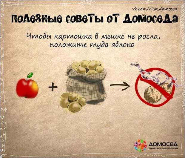 Полезные советы полезно знать, советы