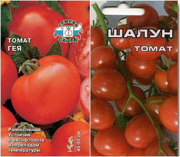 rasteniy-nazvaniya-veselye-kartinki-smeshnye-kartinki-fotoprikoly