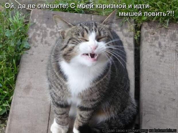 Мысли вслух :)