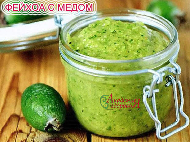 ФЕЙХОА С МЕДОМ ФЕЙХОА С МЕДОМ