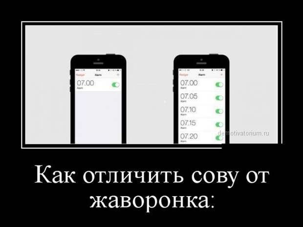 Демотиваторы (30 фото) Демотиваторы (30 фото)