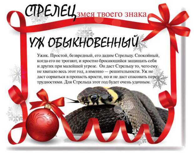 Какой змеей будешь ты в 2013 году (13 фото) Какой змеей будешь ты в 2013 году (13 фото)