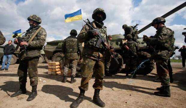 В Голландии посоветовали украинцам убрать свастики и цивилизованно уладить конфликт на Донбассе В Голландии посоветовали украинцам убрать свастики и цивилизованно уладить конфликт на Донбассе