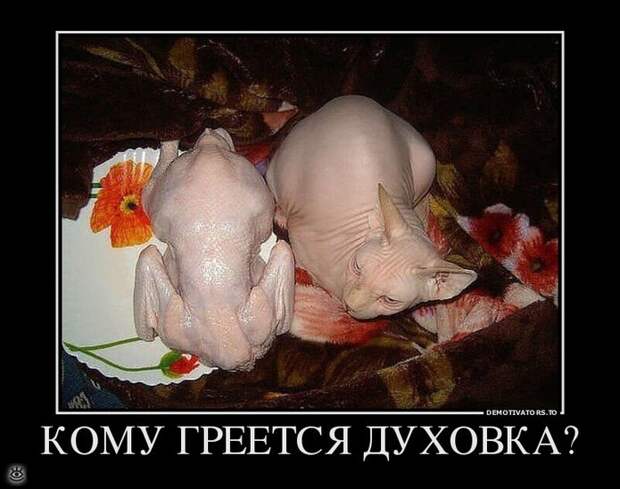 Эфемерные демотиваторы 34