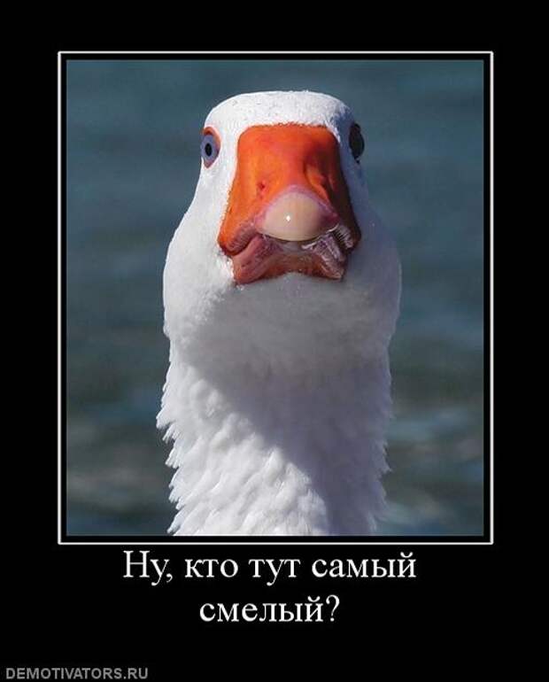 Подборка новых демотиваторов)