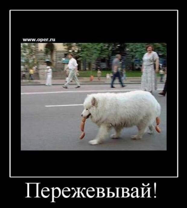 Демотиваторы и все самое прикольное на фото.
