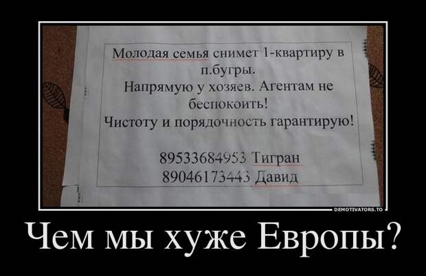 Демотиваторы Демотиваторы