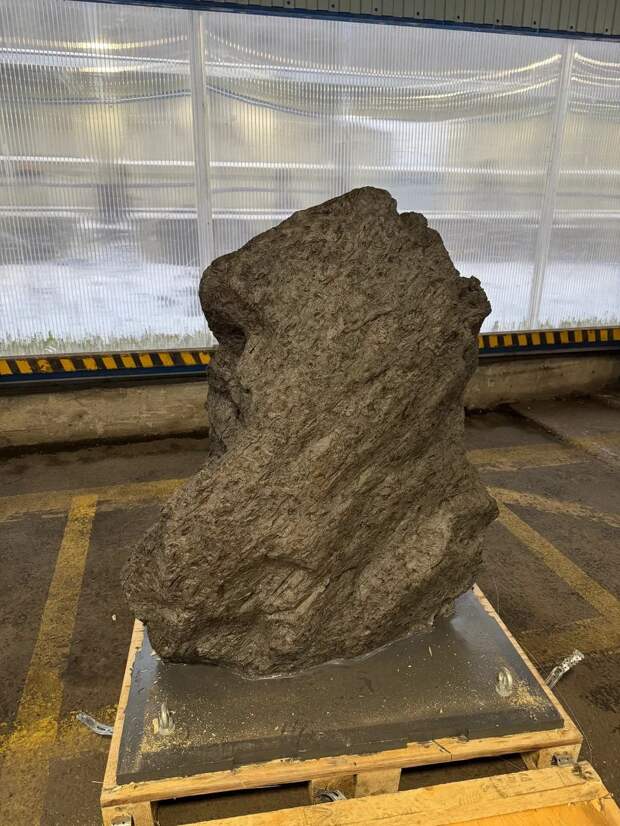 Метеорит за 323 миллиона под видом камня: как таможенники сорвали аферу в Петербурге