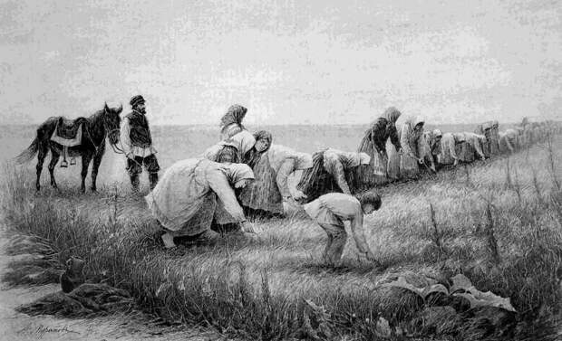 Крестьяне на поле помещика (иллюстрация из открытых источников)