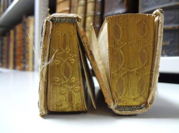 3. Двухсторонняя книга (16 век) в мире, книги