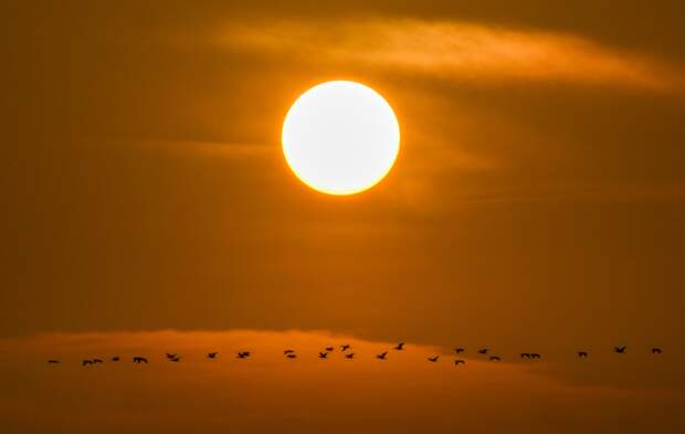 На Солнце обнаружили дыру жутких размеров: чем она опасна