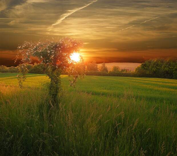 Фото жизнь - mondtag3106 - Пейзажи - На закате