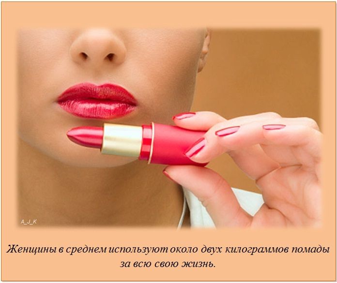 Интересные факты обо всём на свете