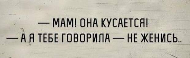 Прикольные картинки дня (36 шт)