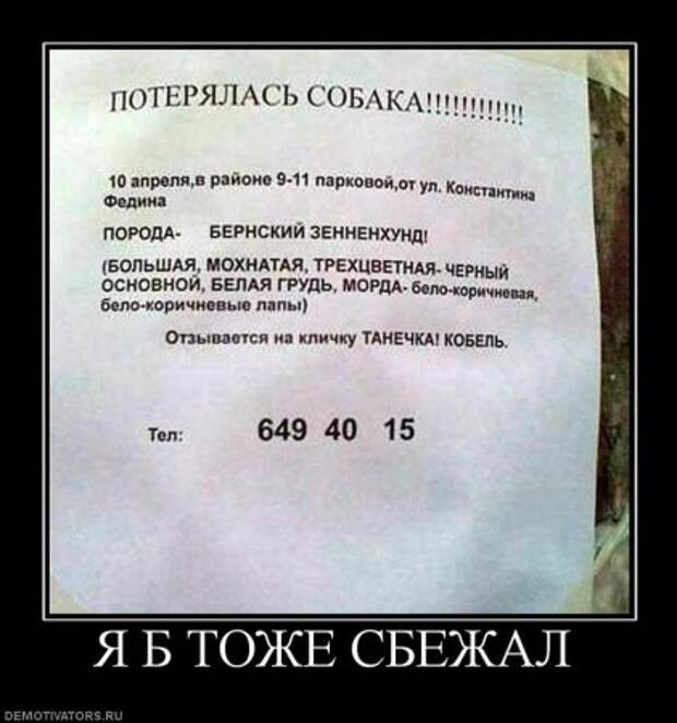 Демотиваторы у нас высший класс, только прикольные!
