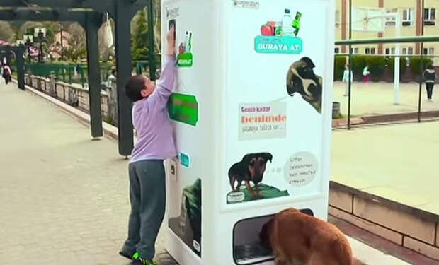 торговый автомат в Стамбуле бутылки в обмен на корм для бездомных собак (2)