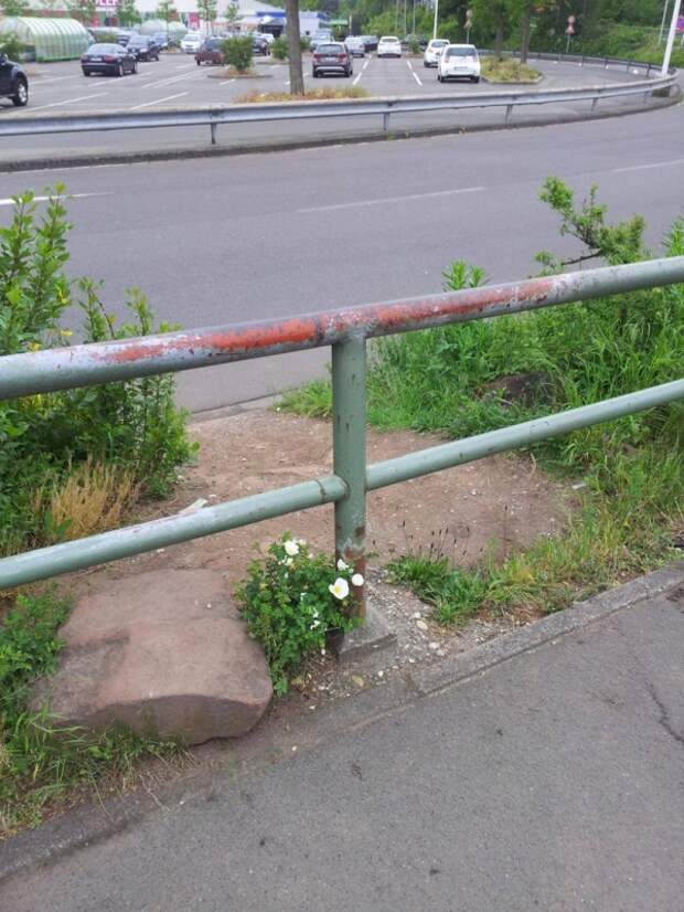 Наглядные примеры беспощадности времени
