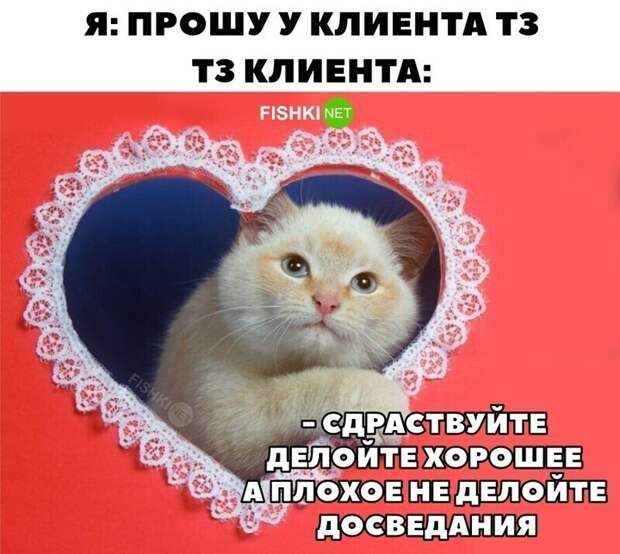 2. Коротко о ТЗ и заказчиках 2. Коротко о ТЗ и заказчиках