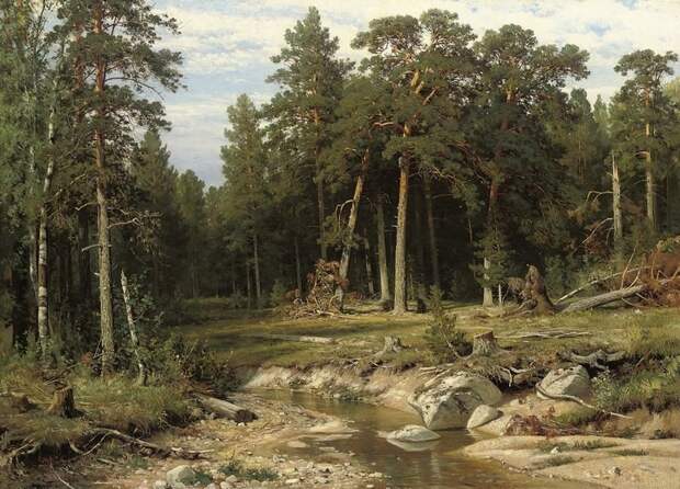 Русская живопись: Иван Шишкин Шишкин, картины, природа
