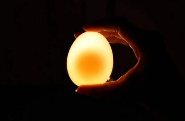 http://img.zzweb.ru/img/895689/the-egg.jpg
