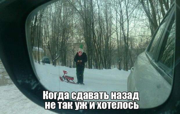 Прикольные картинки